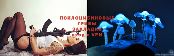 СК Балахна