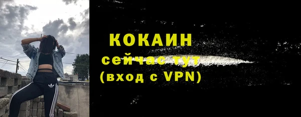 СК Балахна