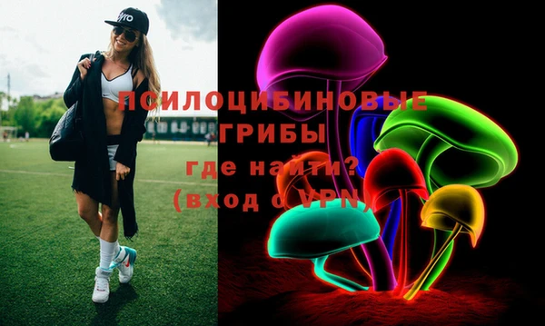 сатива Баксан