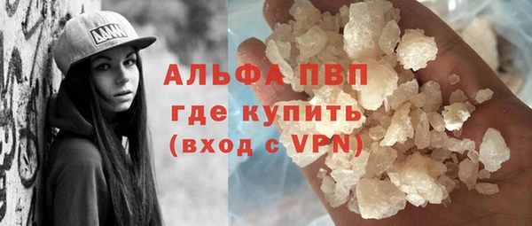 сатива Баксан