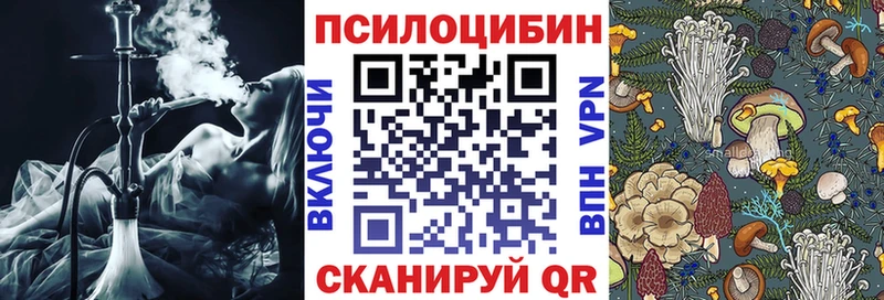 Галлюциногенные грибы Magic Shrooms  Купить  Тетюши 